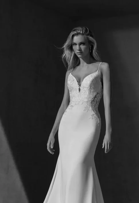 Pronovias ROANNA Wedding Dress