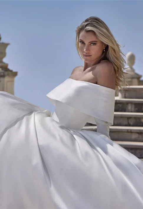 PRONOVIAS DELVINE Wedding Dress